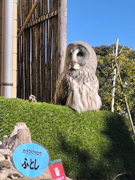 伊豆シャボテン動物公園に投稿された画像（2025/1/14）