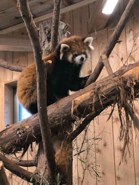伊豆シャボテン動物公園に投稿された画像（2025/1/14）