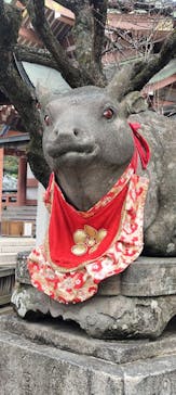 京阪電車に投稿された画像（2025/1/14）