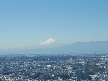 横浜ランドマークタワー 69階展望フロア スカイガーデンに投稿された画像（2025/1/14）