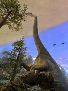 福井県立恐竜博物館に投稿された画像（2025/1/14）