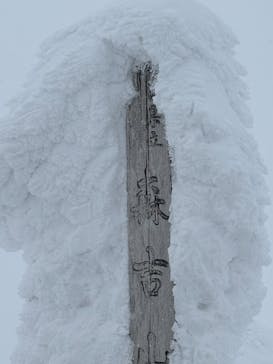 阿仁スキー場に投稿された画像（2025/1/14）