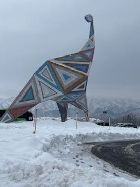 福井県立恐竜博物館に投稿された画像（2025/1/14）