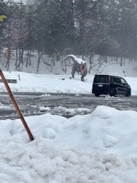 福井県立恐竜博物館に投稿された画像（2025/1/14）