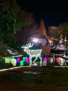 安城産業文化公園デンパークに投稿された画像（2025/1/14）