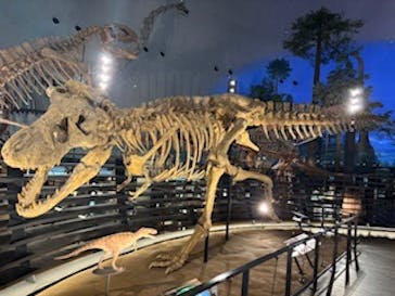 福井県立恐竜博物館に投稿された画像（2025/1/14）