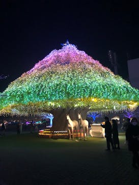 東京メガイルミに投稿された画像（2025/1/14）