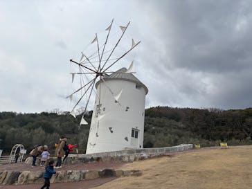 島めぐり観光バスに投稿された画像（2025/1/14）