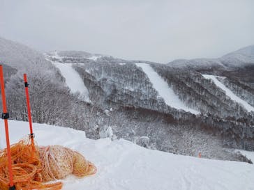 星野リゾート　ネコマ マウンテンに投稿された画像（2025/1/14）