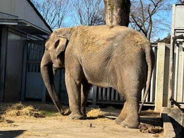 宇都宮動物園に投稿された画像（2025/1/14）