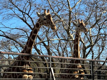 宇都宮動物園に投稿された画像（2025/1/14）