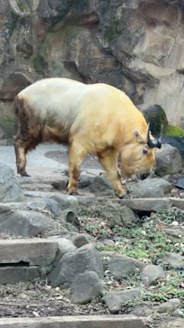 多摩動物公園に投稿された画像（2025/1/14）