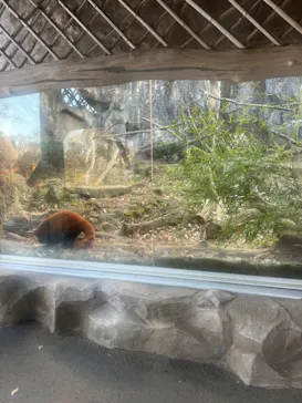 多摩動物公園に投稿された画像（2025/1/14）