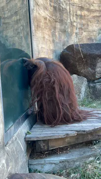 多摩動物公園に投稿された画像（2025/1/14）