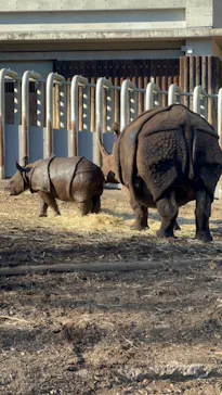 多摩動物公園に投稿された画像（2025/1/14）