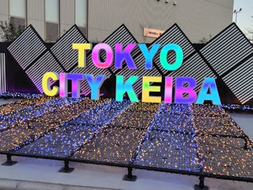 東京メガイルミに投稿された画像（2025/1/14）