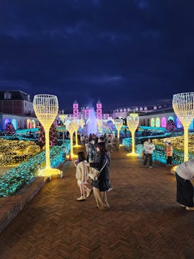 神戸イルミナージュに投稿された画像（2025/1/14）