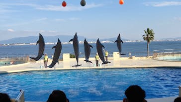 マリンワールド海の中道に投稿された画像（2025/1/14）