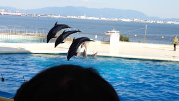 マリンワールド海の中道に投稿された画像（2025/1/14）