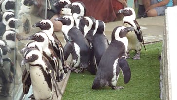 マリンワールド海の中道に投稿された画像（2025/1/14）