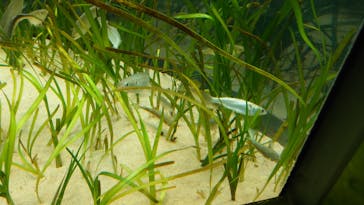 マリンワールド海の中道に投稿された画像（2025/1/14）