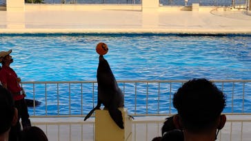 マリンワールド海の中道に投稿された画像（2025/1/14）