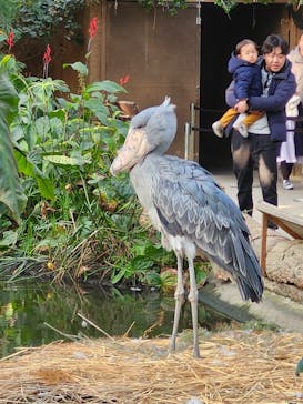神戸どうぶつ王国に投稿された画像（2025/1/14）