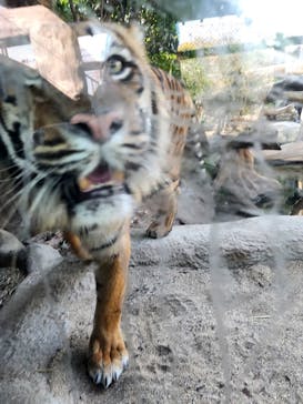 神戸どうぶつ王国に投稿された画像（2025/1/14）