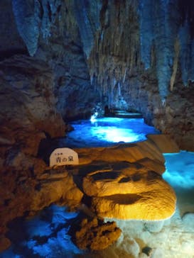 おきなわワールドに投稿された画像（2025/1/14）