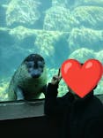 箱根園水族館に投稿された画像（2025/1/14）