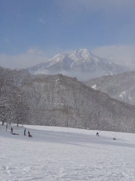 タングラムスキーサーカスに投稿された画像（2025/1/14）