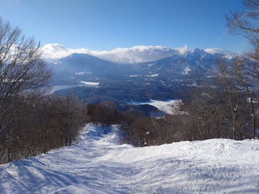 タングラムスキーサーカスに投稿された画像（2025/1/14）