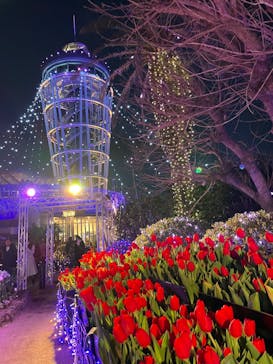 江の島シーキャンドルに投稿された画像（2025/1/14）