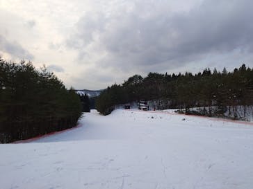 秋田市太平山スキー場オーパスに投稿された画像（2025/1/14）
