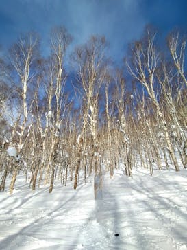 志賀高原マウンテンリゾートに投稿された画像（2025/1/14）