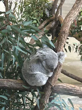 多摩動物公園に投稿された画像（2025/1/14）