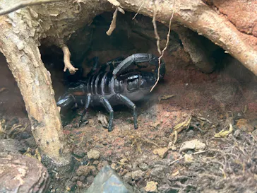 多摩動物公園に投稿された画像（2025/1/14）