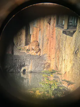 多摩動物公園に投稿された画像（2025/1/14）