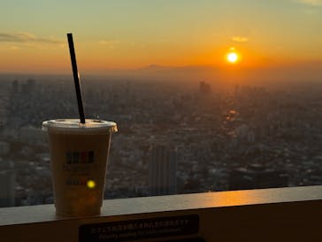 サンシャイン60展望台に投稿された画像（2025/1/14）