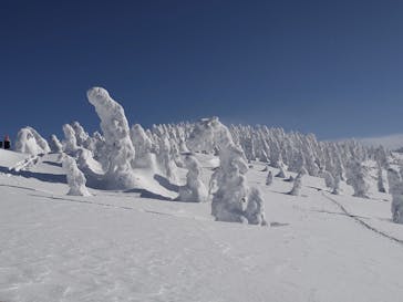 阿仁スキー場に投稿された画像（2025/1/14）