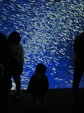 大分マリーンパレス水族館 「うみたまご」に投稿された画像（2025/1/14）