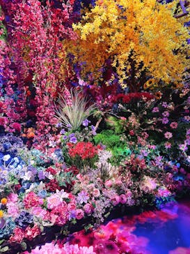 蜷川実花展 with EiM：彼岸の光、此岸の影 NINAGAWA Mika with EiM：Lights of the beyond, Shadows of this worldに投稿された画像（2025/1/14）