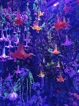 蜷川実花展 with EiM：彼岸の光、此岸の影 NINAGAWA Mika with EiM：Lights of the beyond, Shadows of this worldに投稿された画像（2025/1/14）