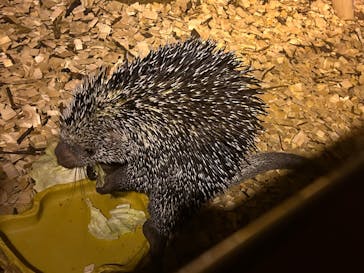 カワスイ 川崎⽔族館に投稿された画像（2025/1/14）