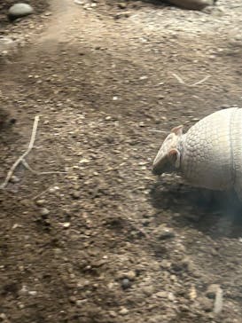 カワスイ 川崎⽔族館に投稿された画像（2025/1/14）