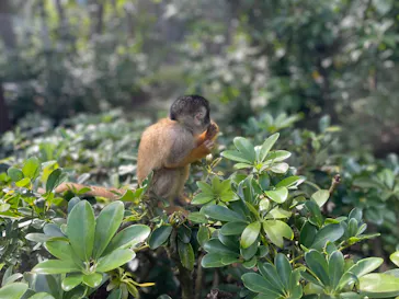 石垣やいま村に投稿された画像（2025/1/14）