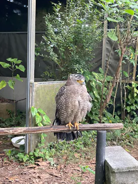 石垣やいま村に投稿された画像（2025/1/14）