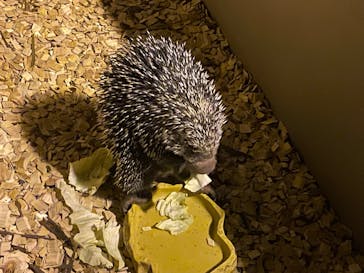 カワスイ 川崎⽔族館に投稿された画像（2025/1/14）