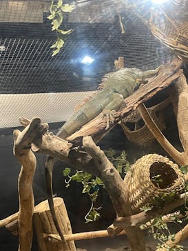 カワスイ 川崎⽔族館に投稿された画像（2025/1/14）