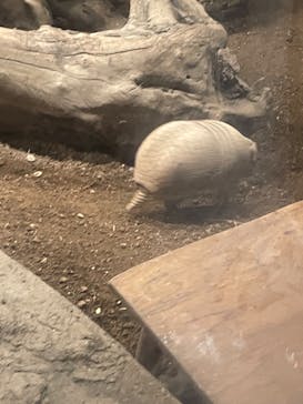 カワスイ 川崎⽔族館に投稿された画像（2025/1/14）